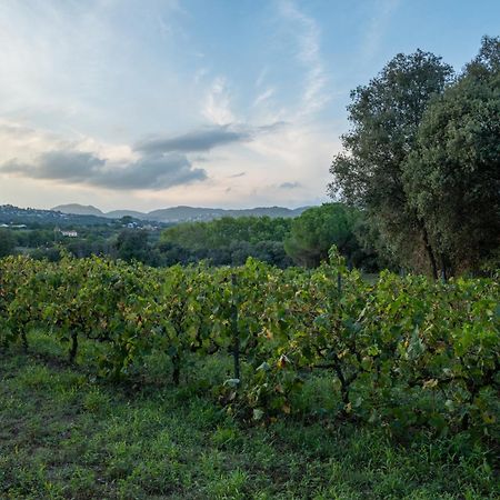 Casa Rural El Bruguer Vell Santa Eulalia de Ronsaná Kültér fotó