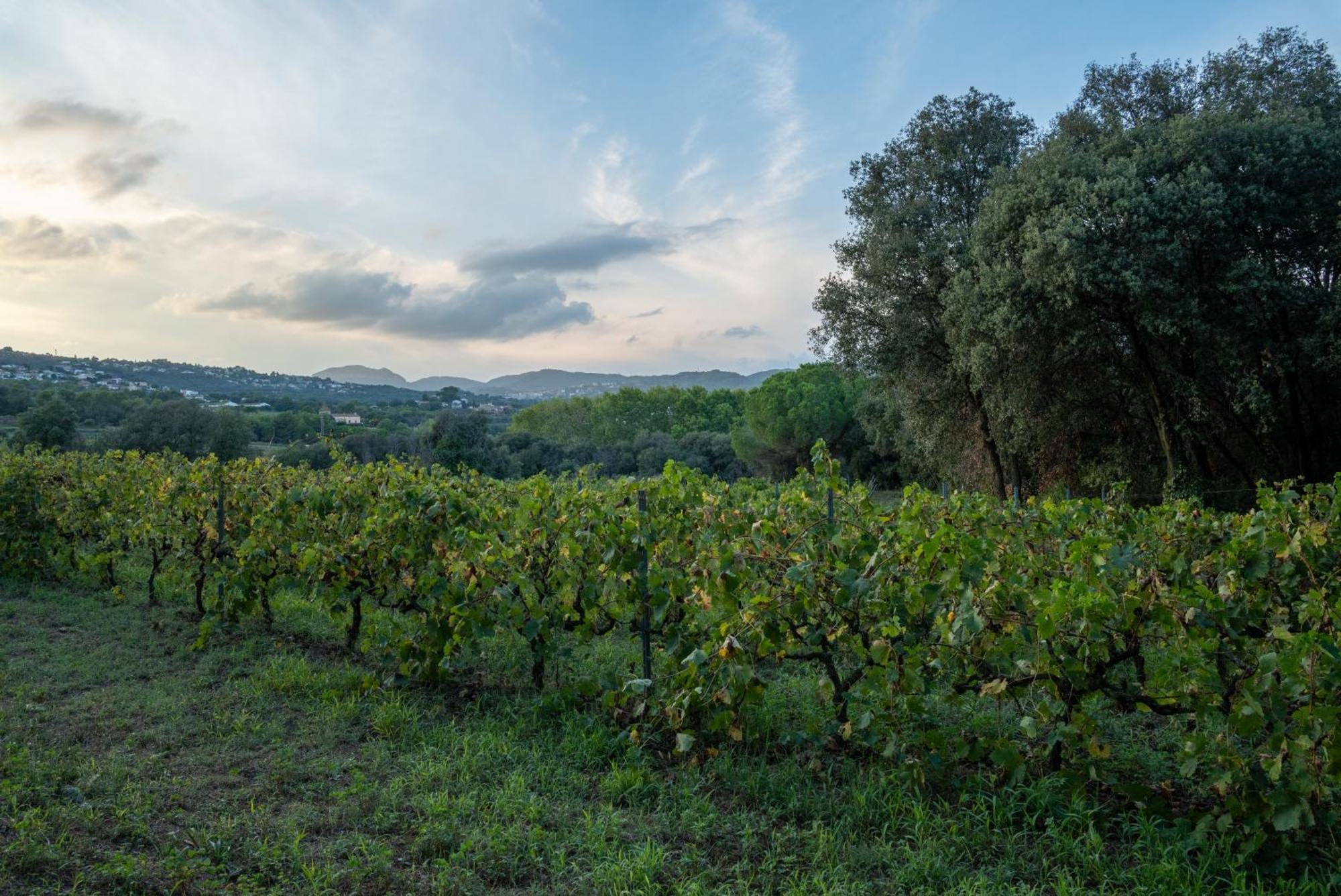 Casa Rural El Bruguer Vell Santa Eulalia de Ronsaná Kültér fotó